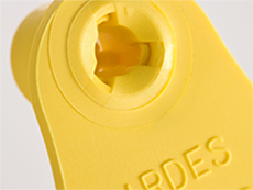 Visual ear tags